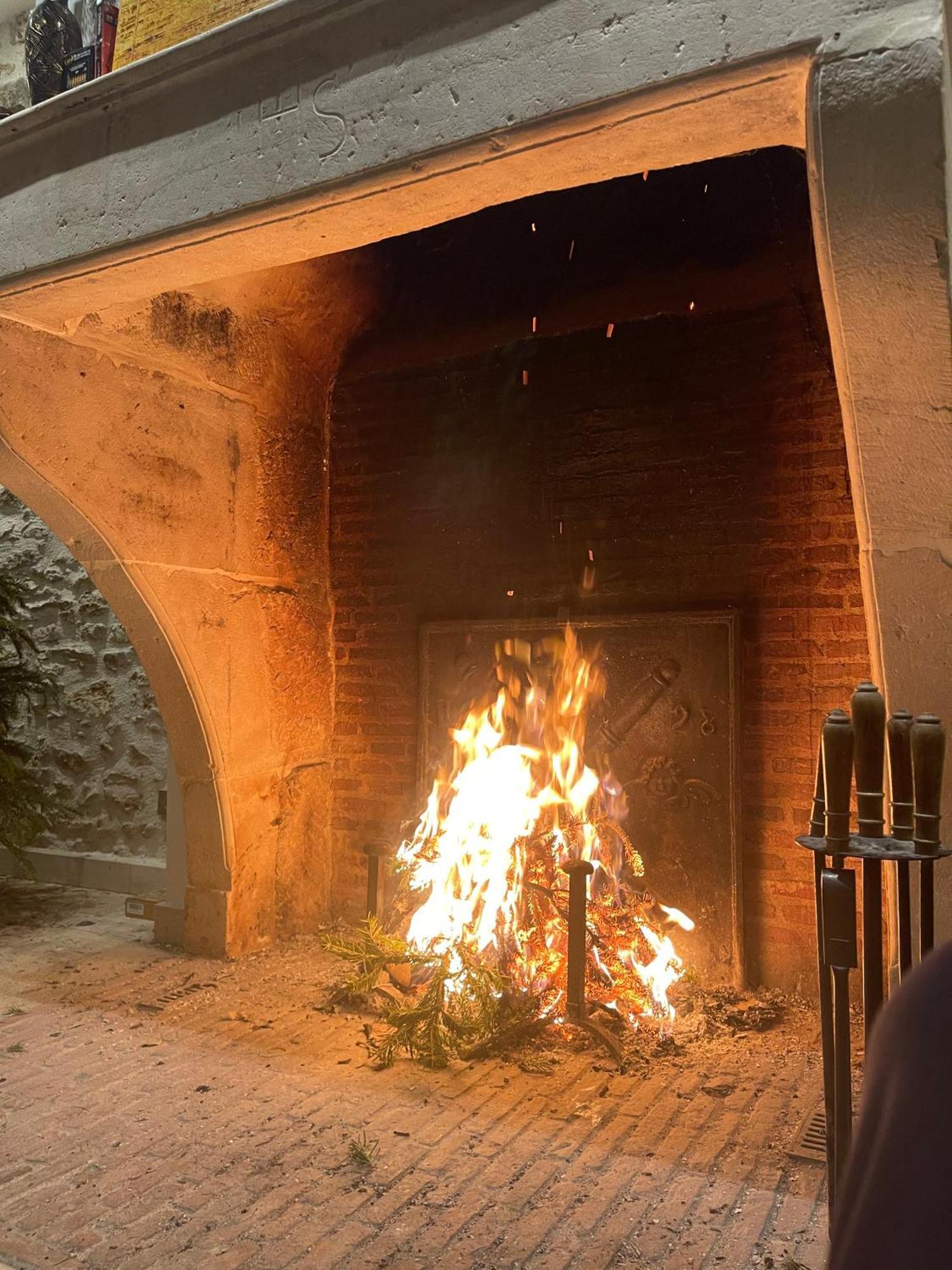 Le Domaine De Brie Apartman Chatillon-la-Borde Kültér fotó
